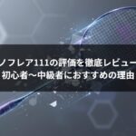 ナノフレア111の評価を徹底レビュー|初心者〜中級者におすすめの理由